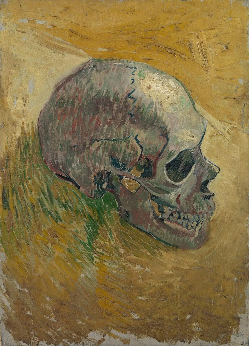 Crânio de esqueleto - Vincent van Gogh