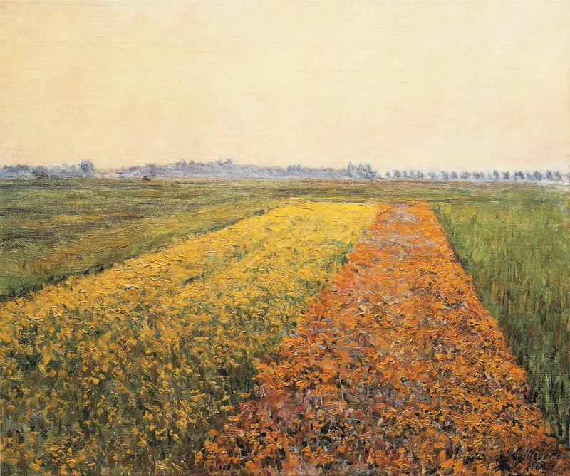 A planície de Gennevilliers, Campos amarelos - Gustave Caillebotte