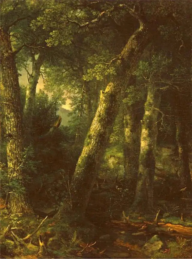 Floresta na luz da manhã - Asher Brown Durand