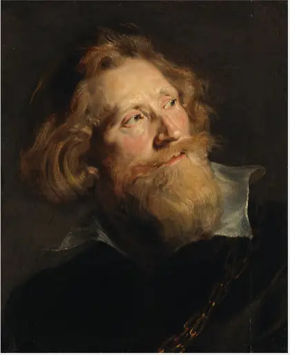 Cabeça de homem barbudo - Peter Paul Rubens