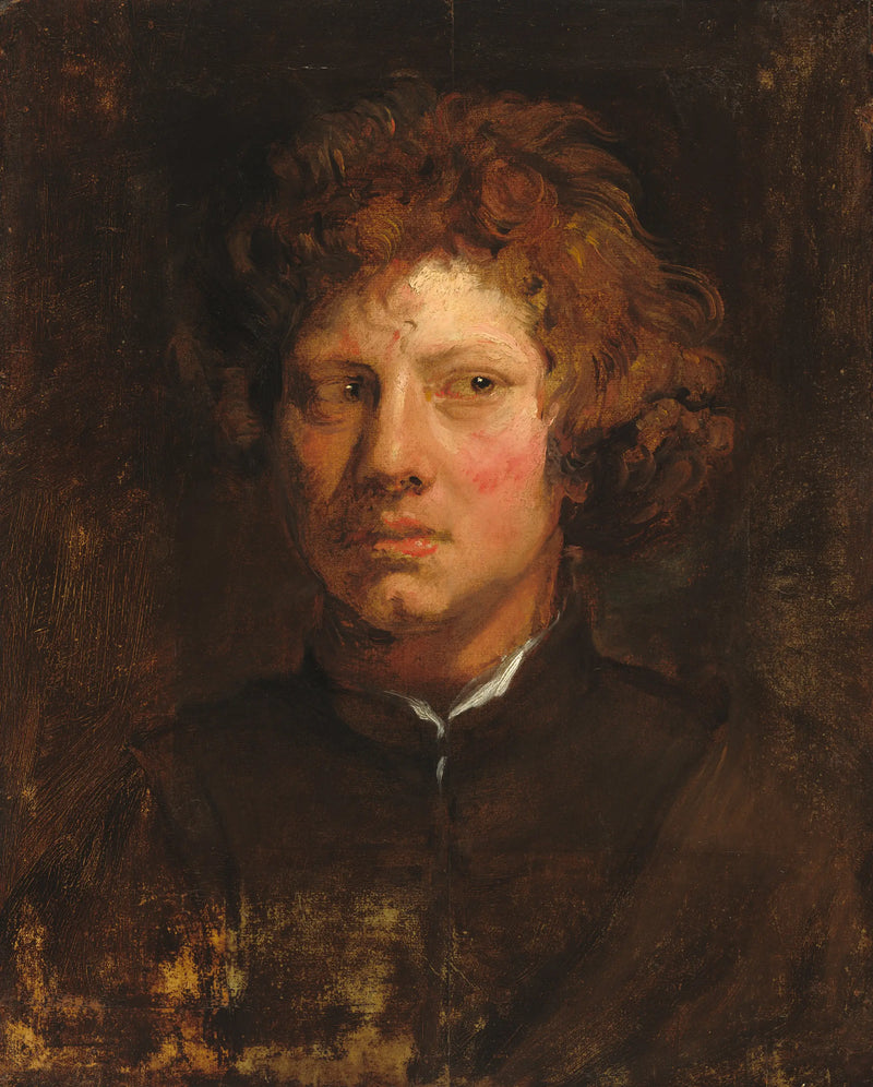 Cabeça de um jovem - Antoine van Dyck