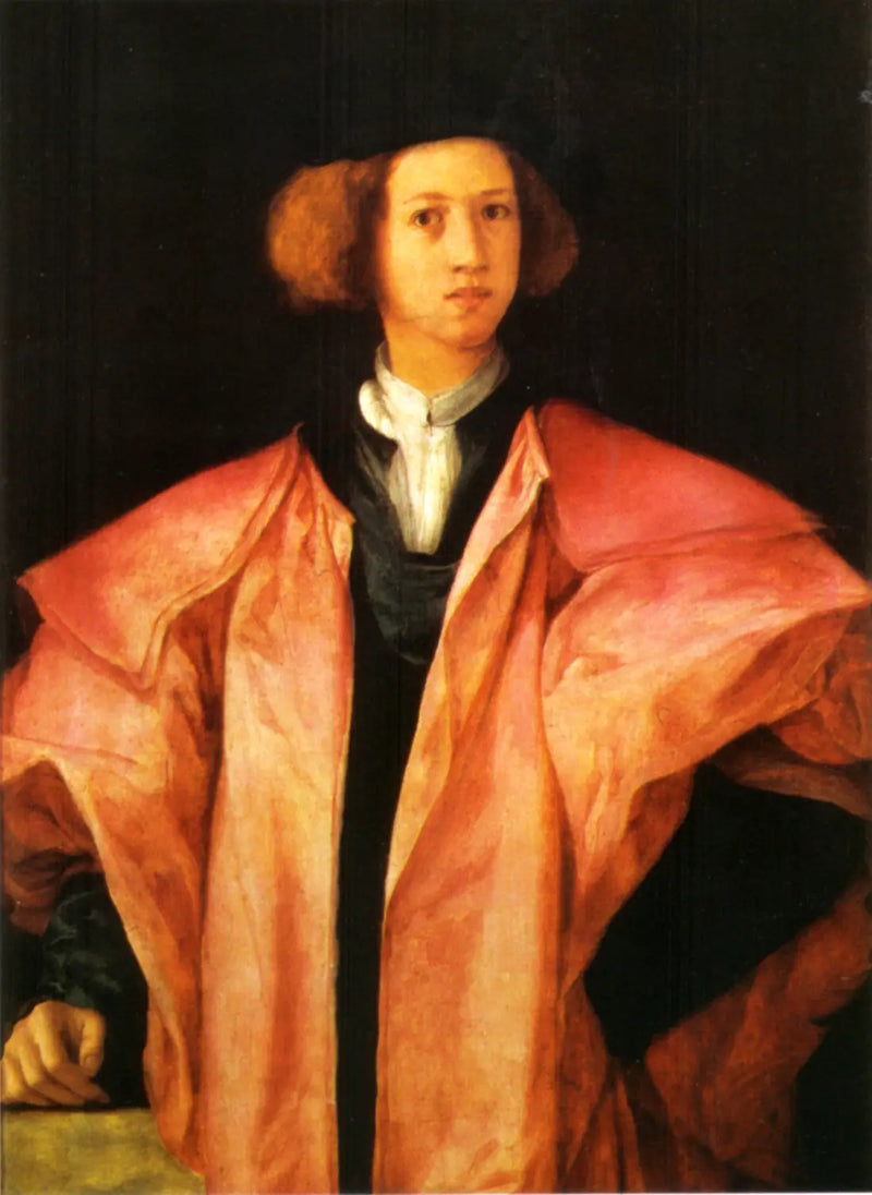 Retrato de um jovem - Pontormo