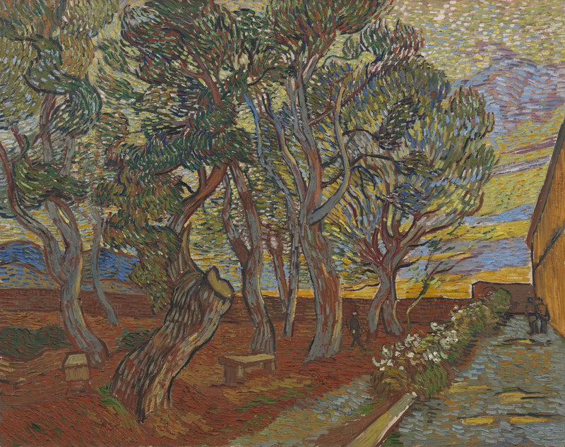 Jardim do Asilo - Vincent van Gogh