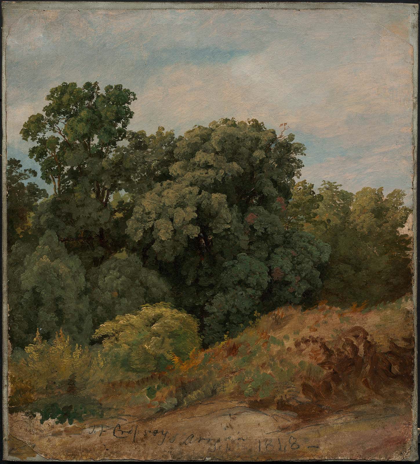 Étude d'un groupe d'arbres - Jasper Francis Cropsey