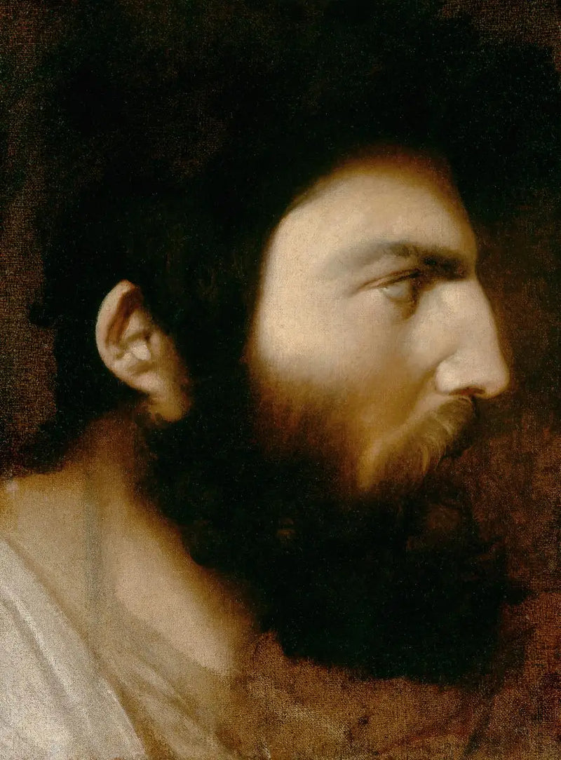 Perfil de homem barbudo - Jean-Auguste-Dominique Ingres