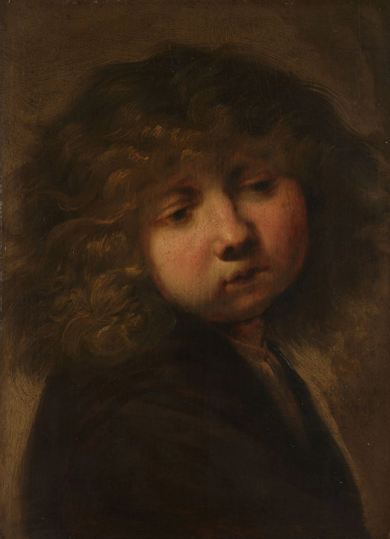 Cabeça de um menino - Rembrandt