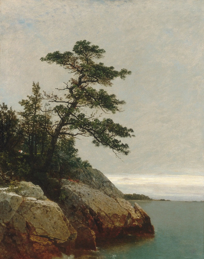 O velho pinheiro, Darien, Connecticut - John Frederick Kensett