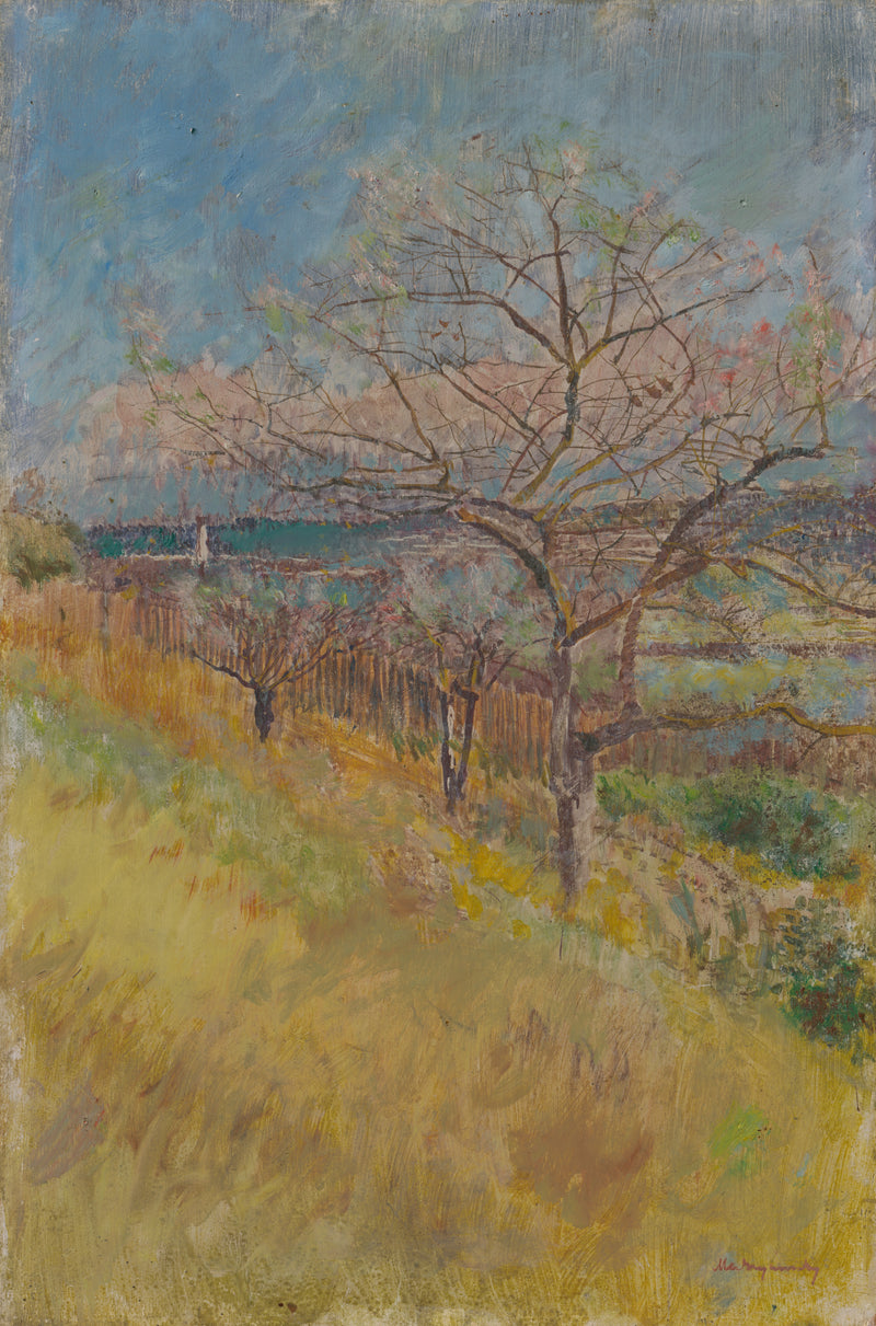 Vallée aux arbres en fleurs – László Mednyánszky