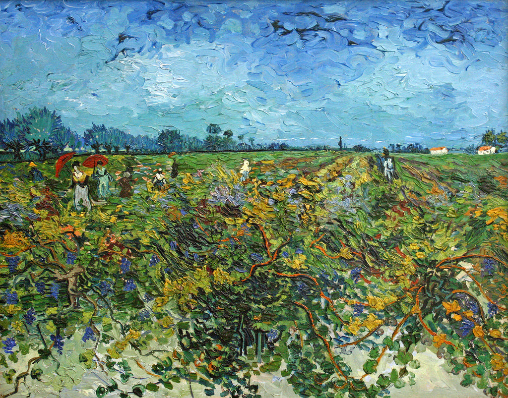🍇 A Vinha Verde – Vincent van Gogh (1888)