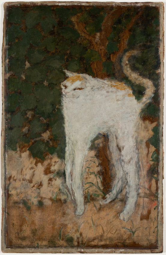Reproduction du tableau « Le Chat blanc - Pierre Bonnard » par Alpha Reproduction en peinture à l’huile