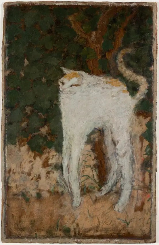 O Gato Branco - Pierre Bonnard