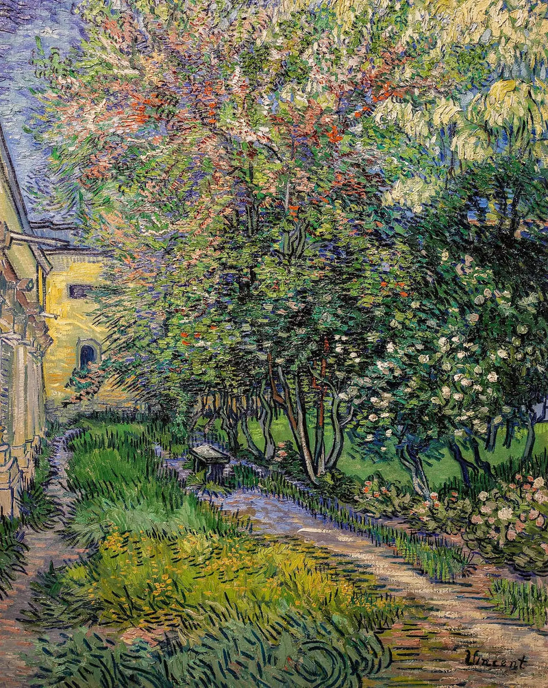 O jardim do asilo de Saint-Rémy - Vincent van Gogh