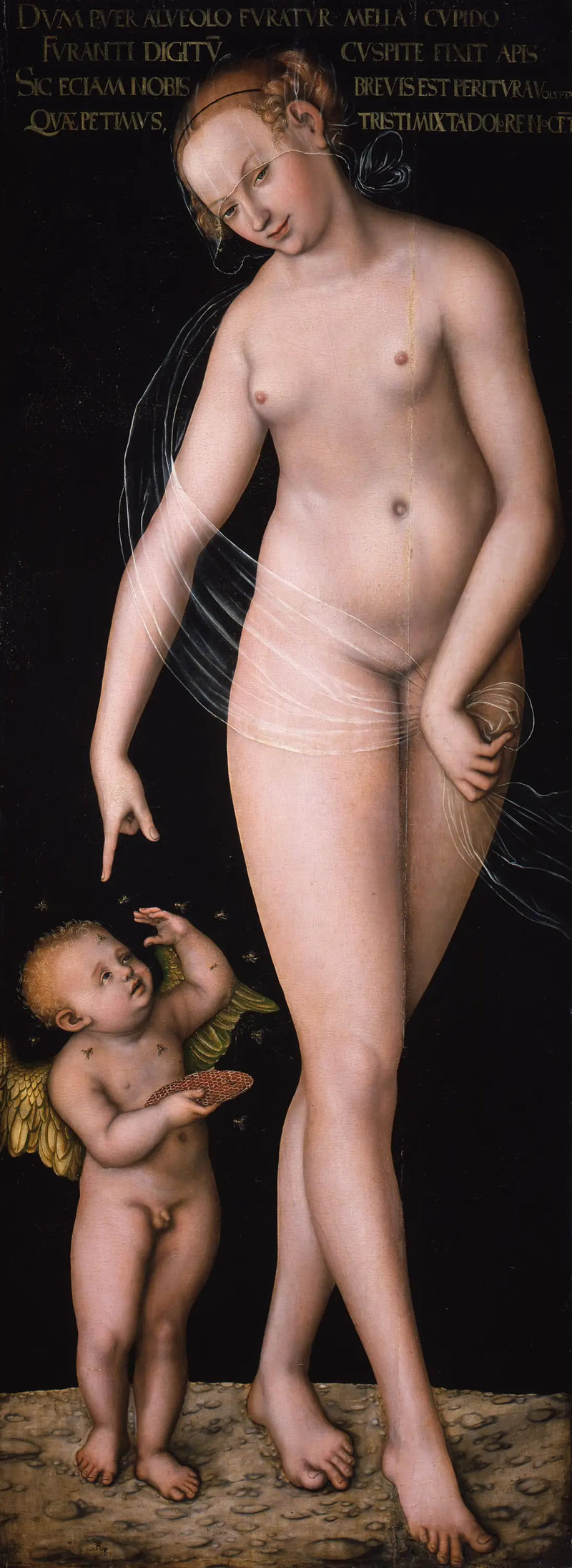 Vênus com Cupido, o ladrão de mel - Lucas Cranach, o Velho