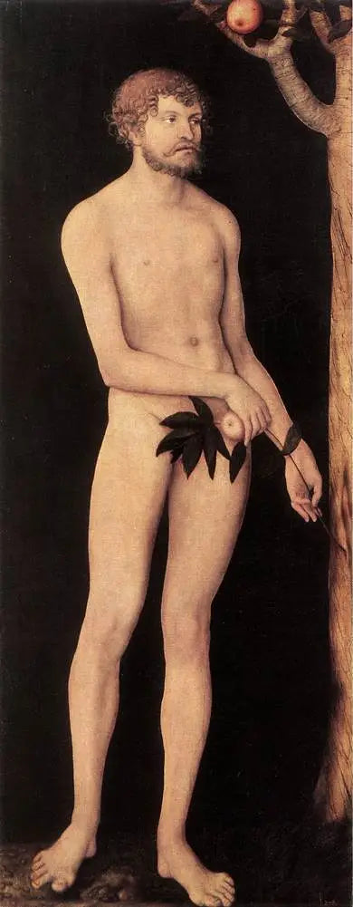 Adam - Lucas Cranach the Elder - Alpha Reproduction