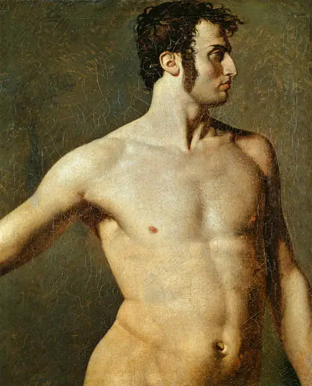 Torso de homem - Jean-Auguste-Dominique Ingres