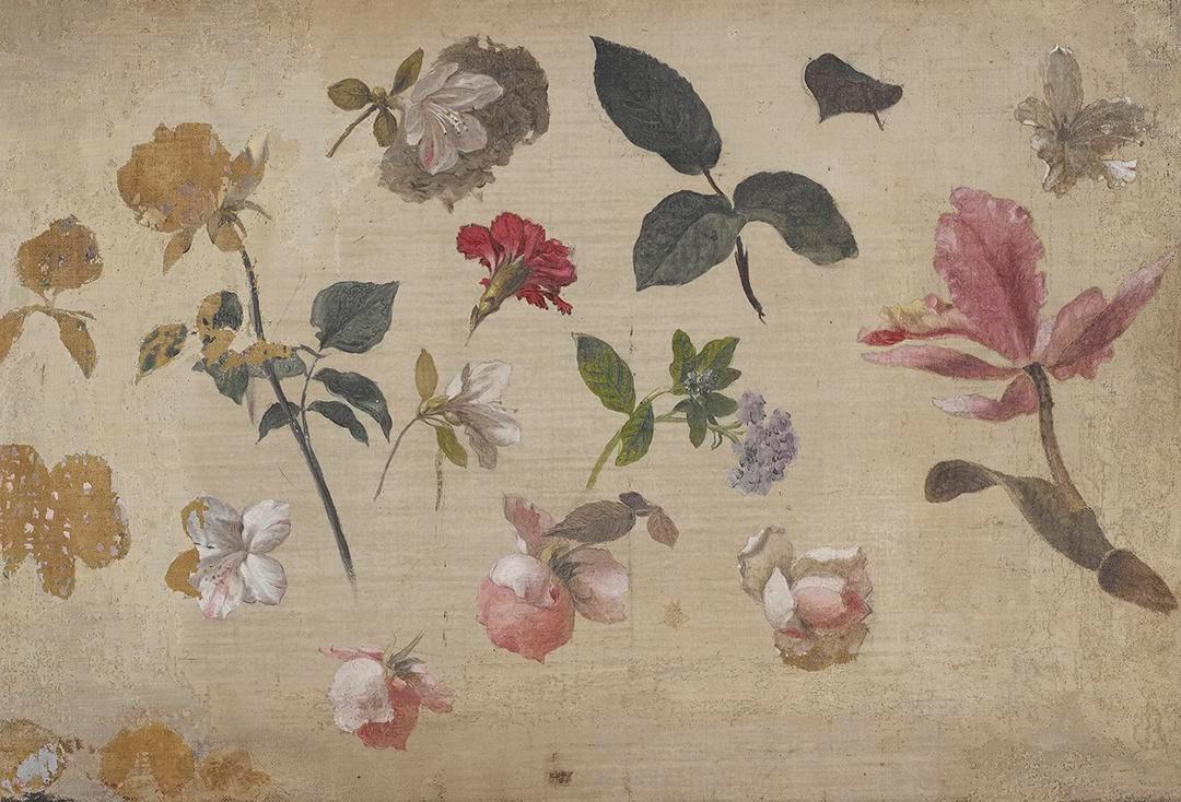 Étude de roses roses, de feuilles, d'héliotrope, d'un œillet et d'une orchidée - Martin Johnson Heade