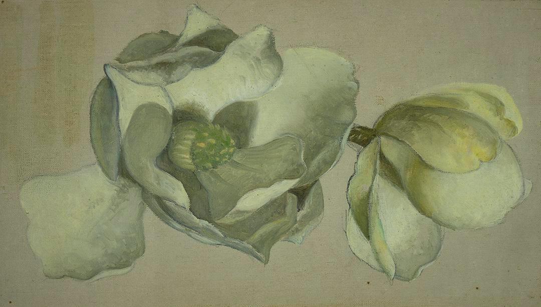 Étude de deux fleurs de magnolia - Martin Johnson Heade
