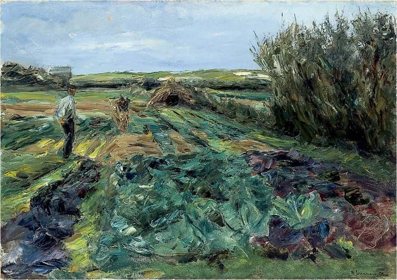 O campo de repolhos (campo de repolhos em Noordwijk) - Max Liebermann