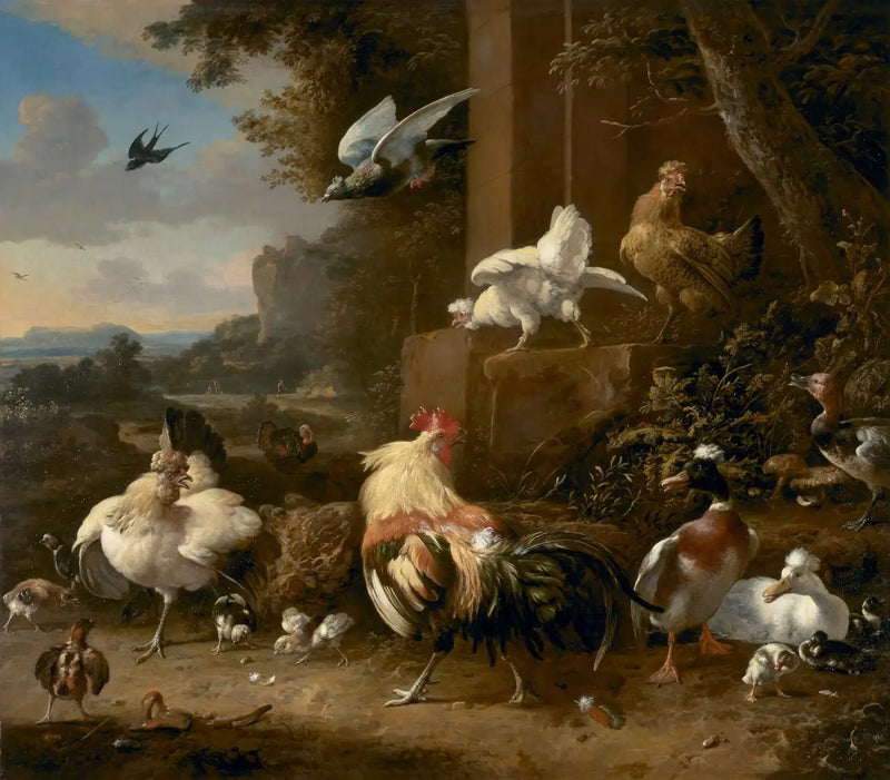 A granja - Melchior de Hondecoeter