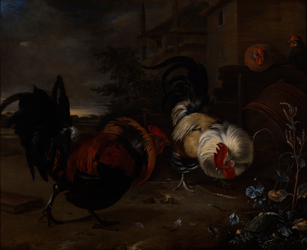 Combat de coqs - Melchior de Hondecoeter