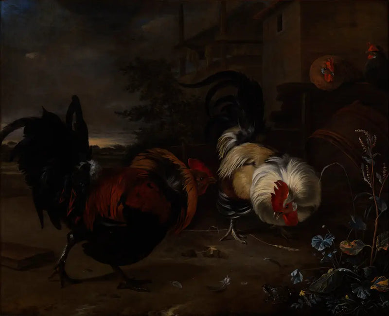Combate de galos - Melchior de Hondecoeter