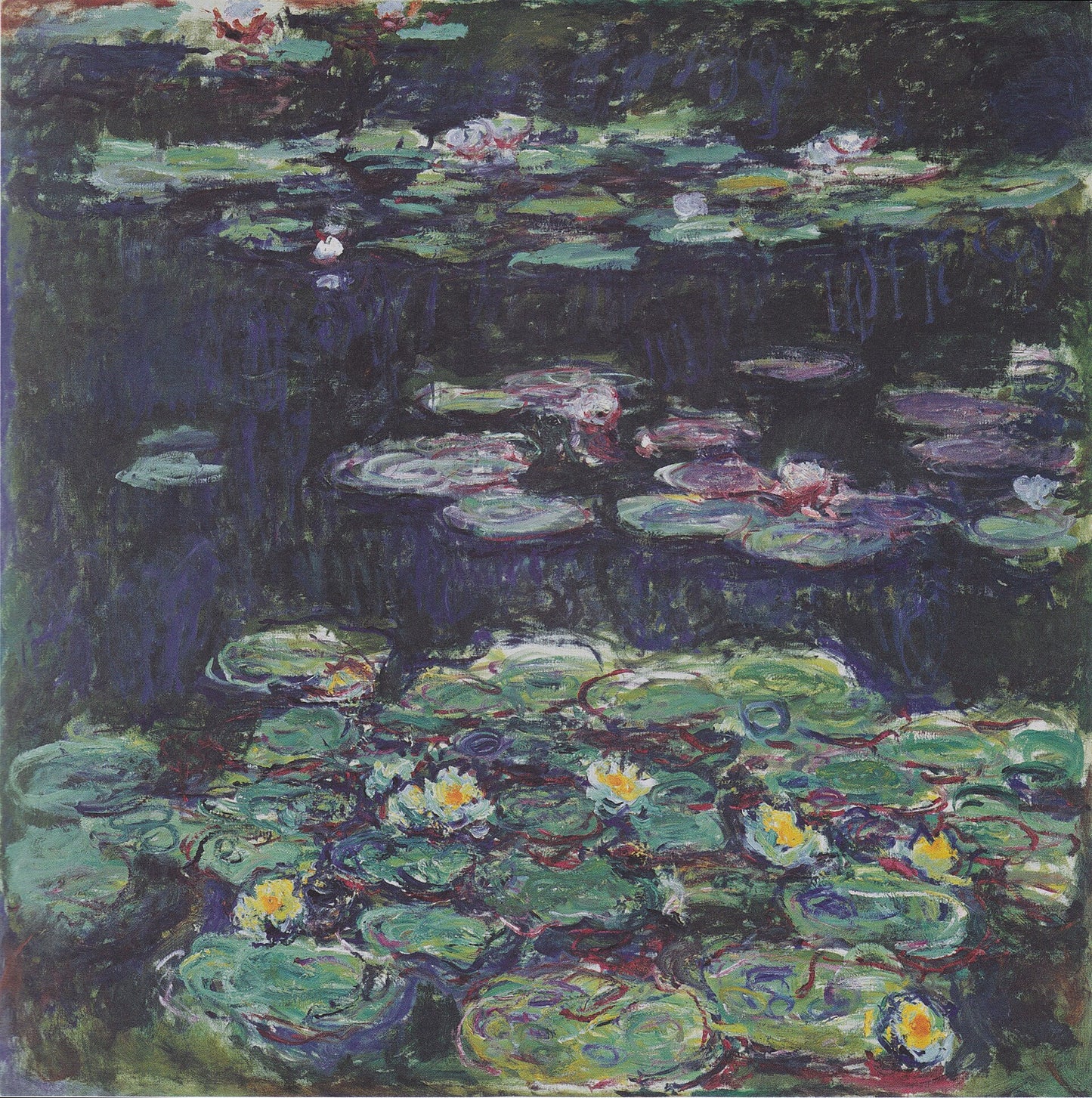 🎨 Ninféias – Flores brancas e amarelas