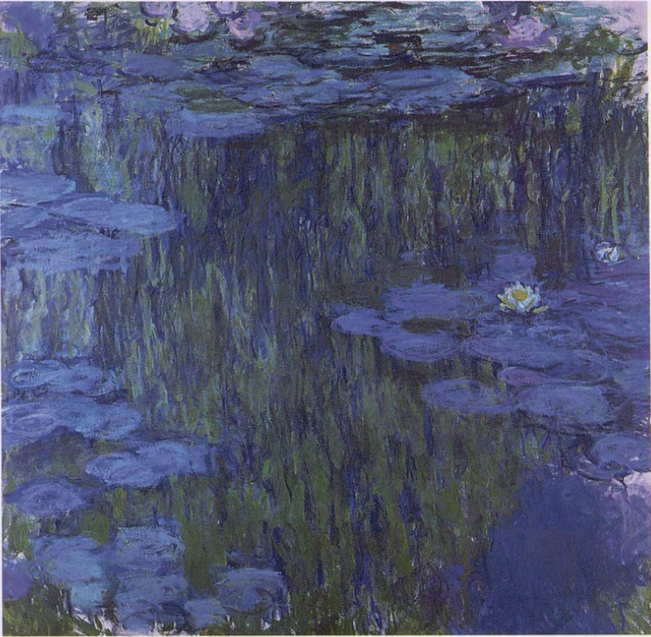 🎨 Ninféias azuis e solitárias