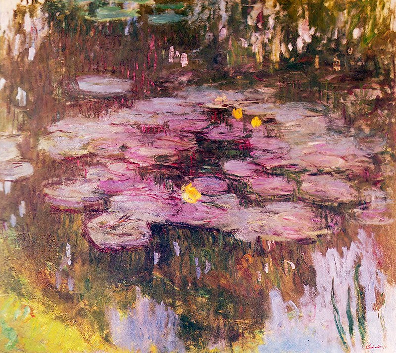 🌸 Ninféias com reflexos dourados e rosas