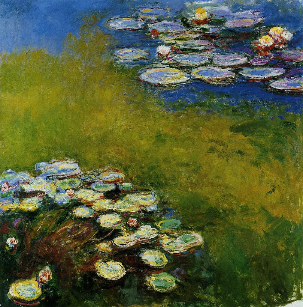 🌿 Ninféias sobre fundo verde e azul
