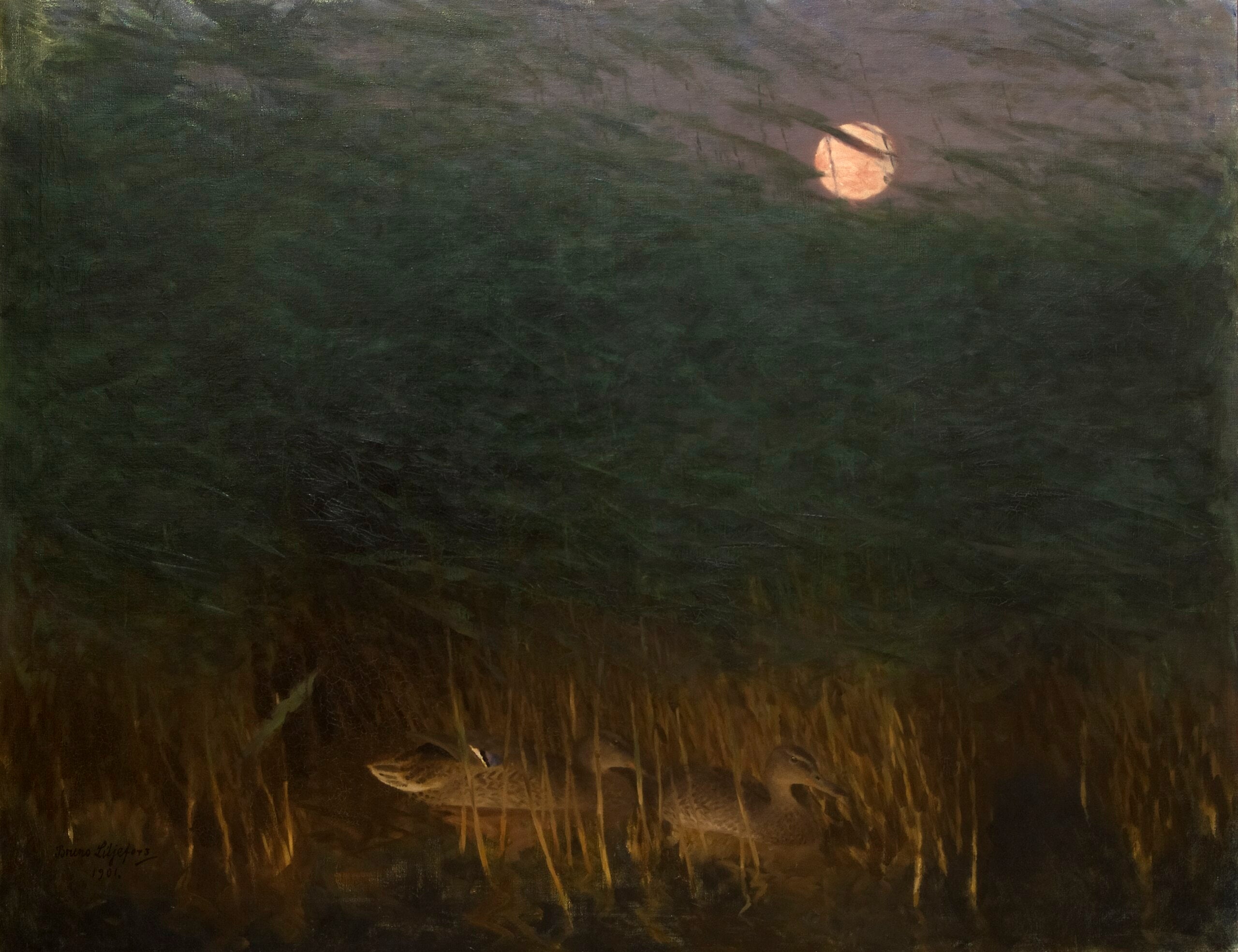 Ambiance nocturne avec des canards sauvages - Bruno Liljefors
