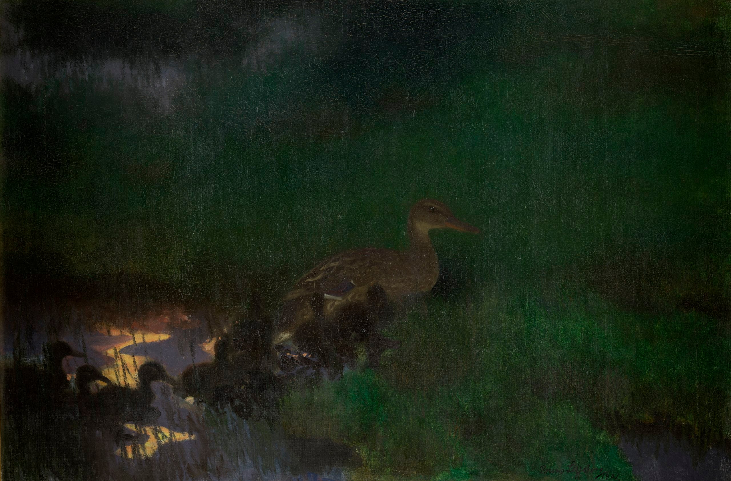 Couvée de canards sauvages - Bruno Liljefors