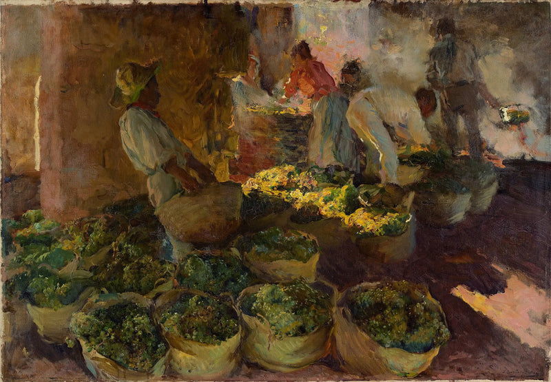 A Preparação das Uvas Passas - Joaquín Sorolla