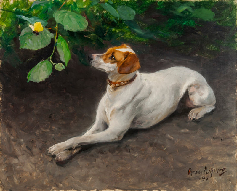 Portrait d'un chien - Bruno Liljefors
