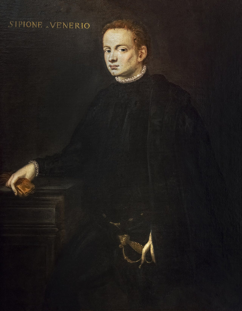 Retrato de Scipione Venerio - Jacopo Tintoretto