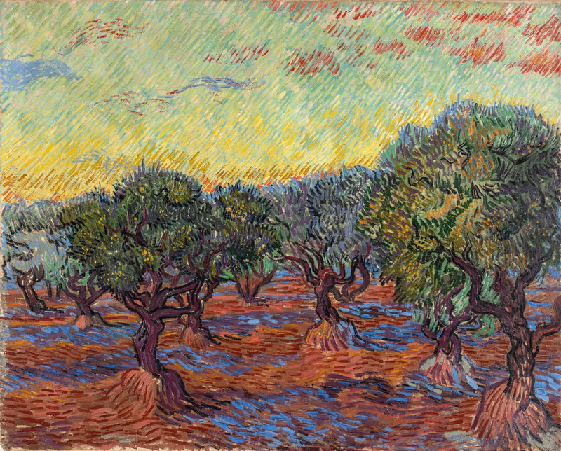 Oliveiral, Saint-Rémy - Vincent van Gogh