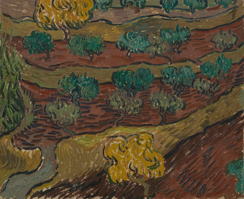 Oliveiras em uma colina - Vincent van Gogh