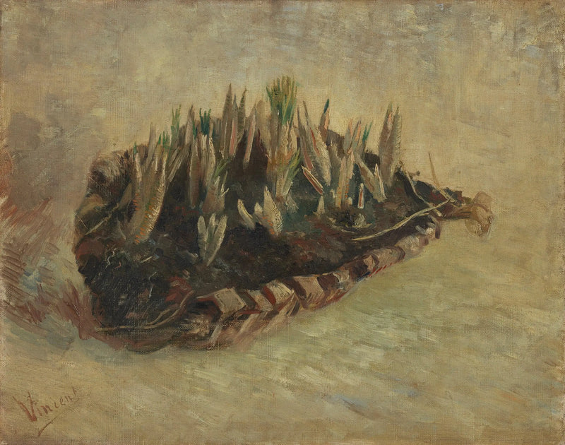 Cesto de bulbos de açafrão - Vincent van Gogh