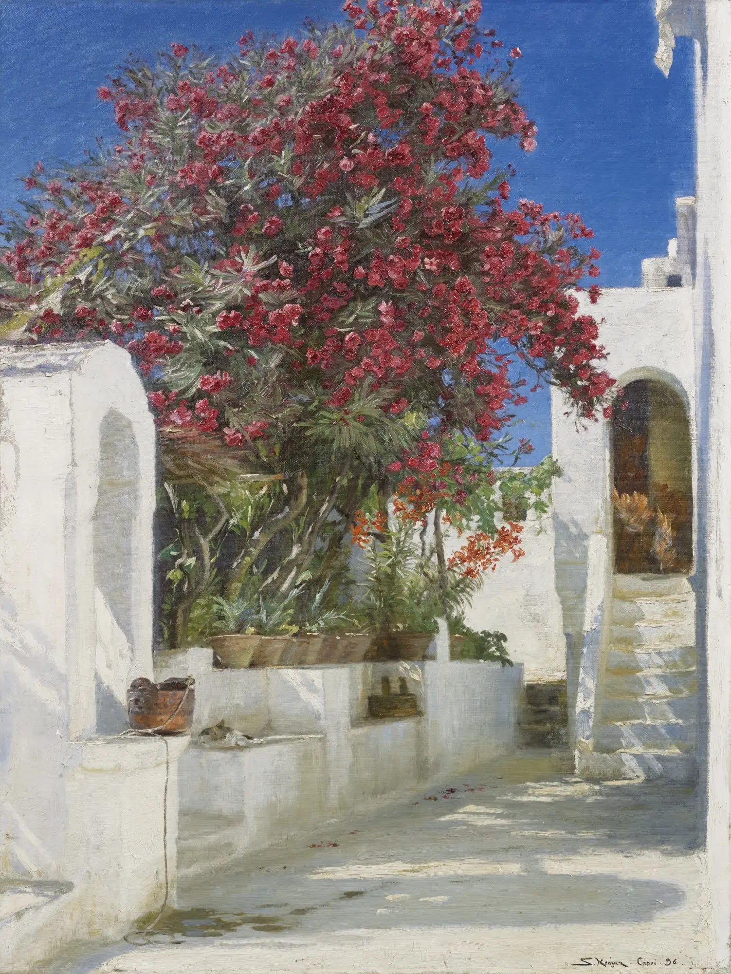 Lauriers roses en fleurs Capri - Peder Severin Krøyer - Alpha Reproduction