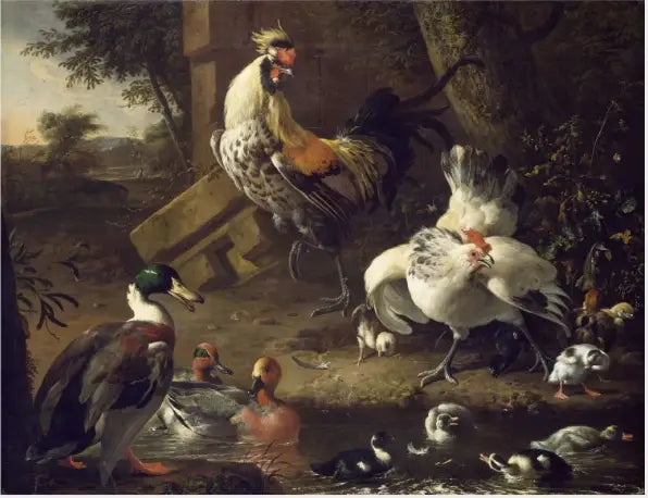Aves de Capoeira - Melchior de Hondecoeter