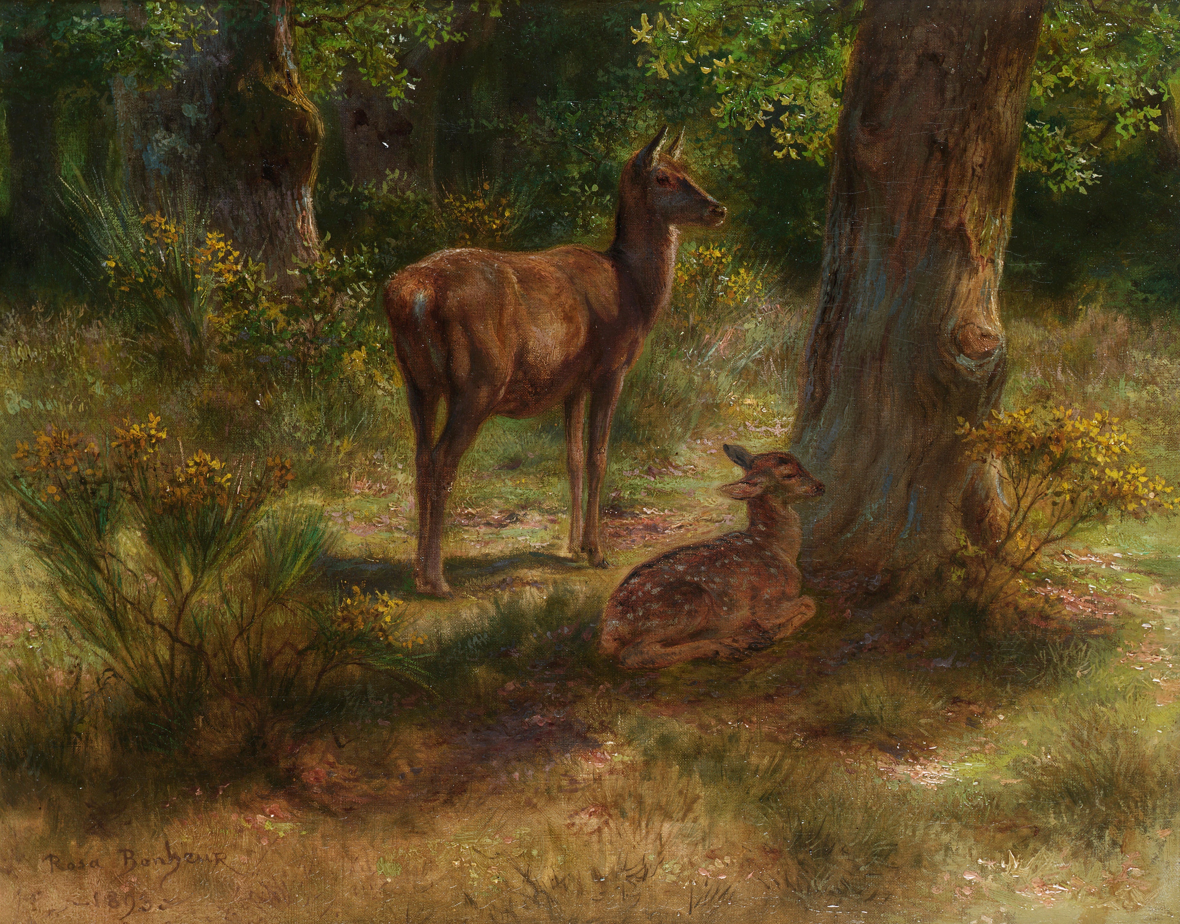 Cerf et faon dans un bois - Rosa Bonheur