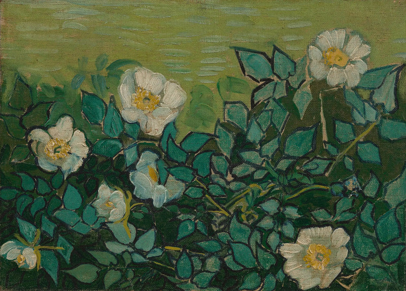 Rosas silvestres - Vincent van Gogh