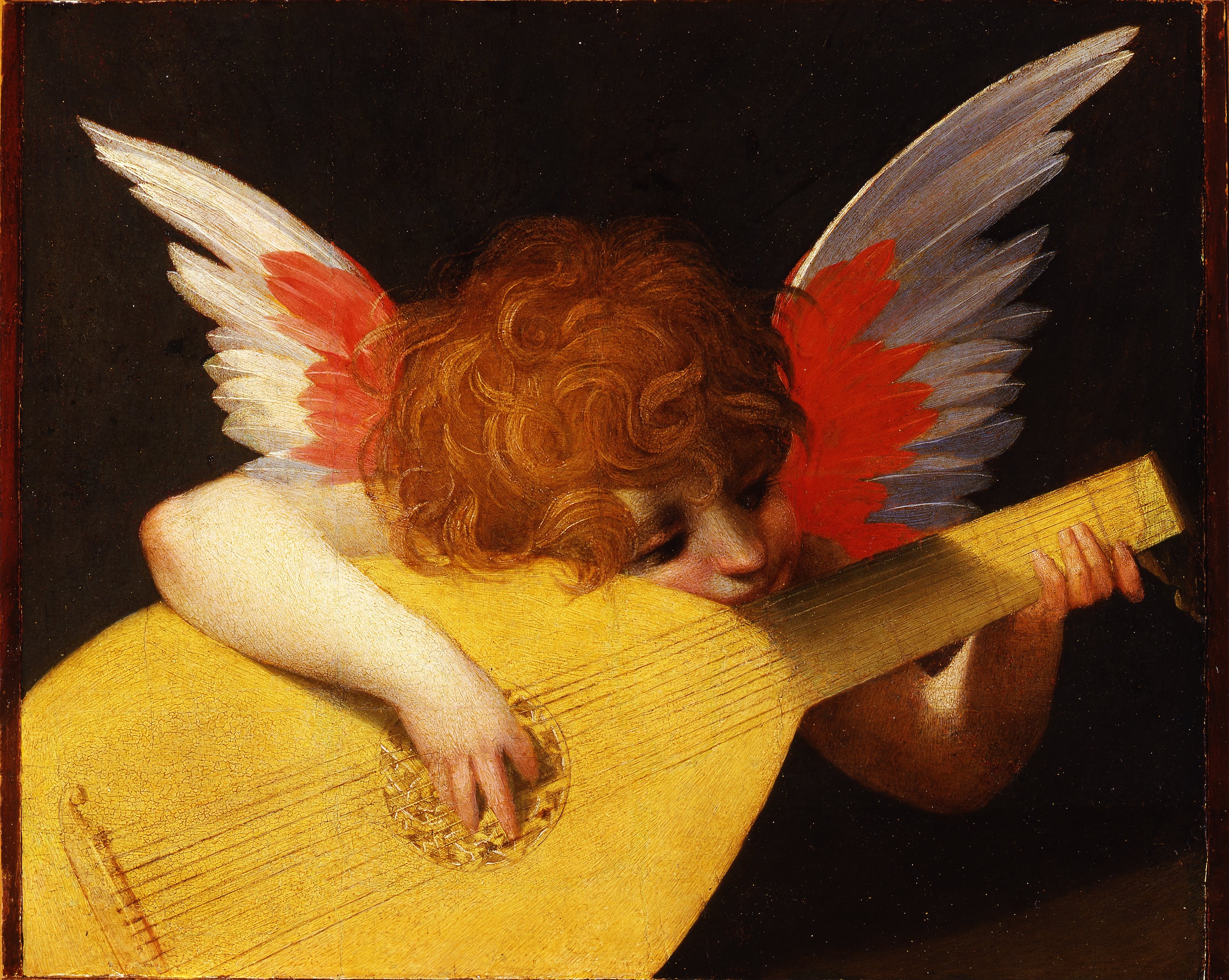 Angelot jouant du luth - Rosso Fiorentino
