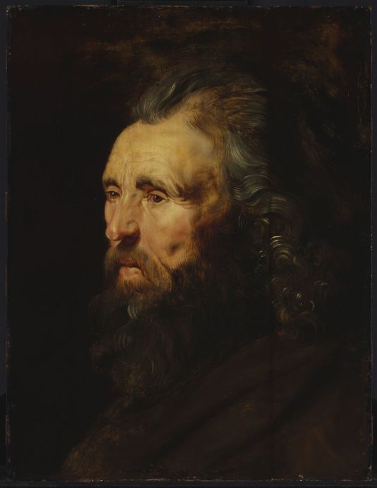 Étude d'une tête d'homme - Peter Paul Rubens