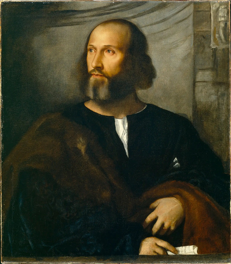 Retrato de um homem barbudo - Titian