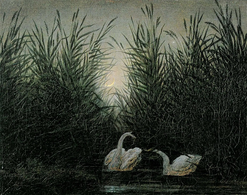 Cisnes nos juncos ao amanhecer - Caspar David Friedrich