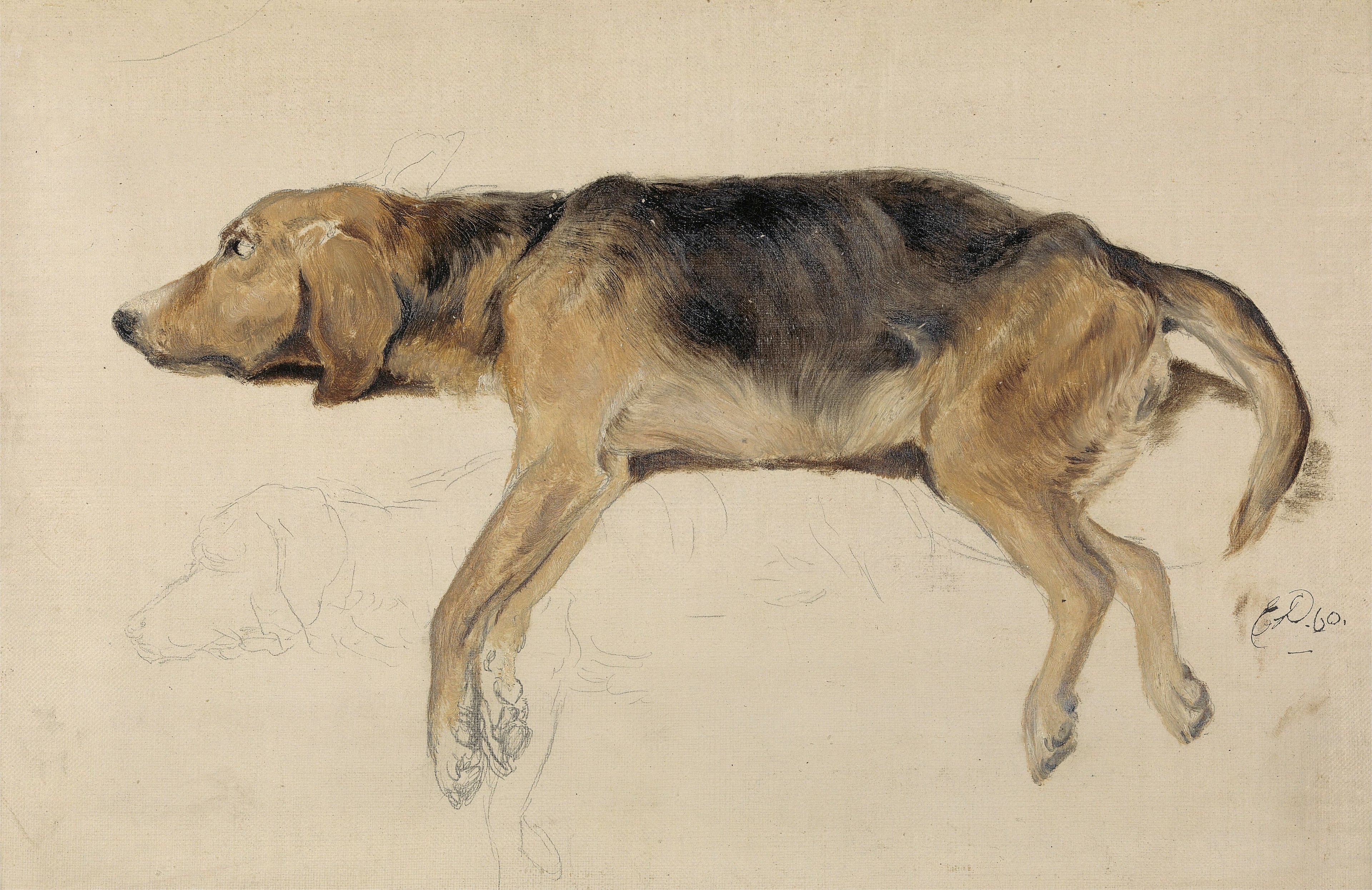 Étude d'un chien couché - Edwin Henry Landseer