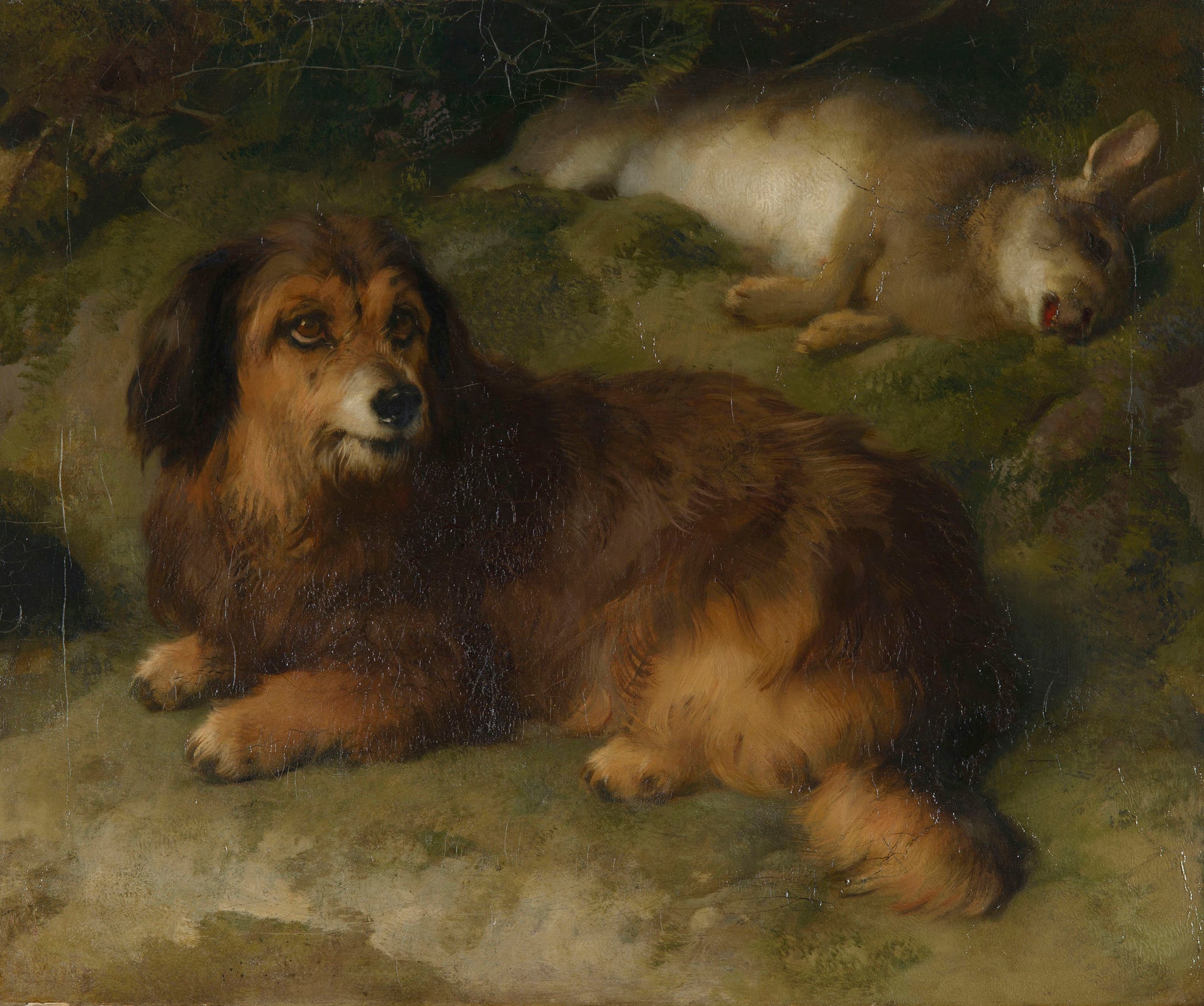 Boz - Edwin Henry Landseer