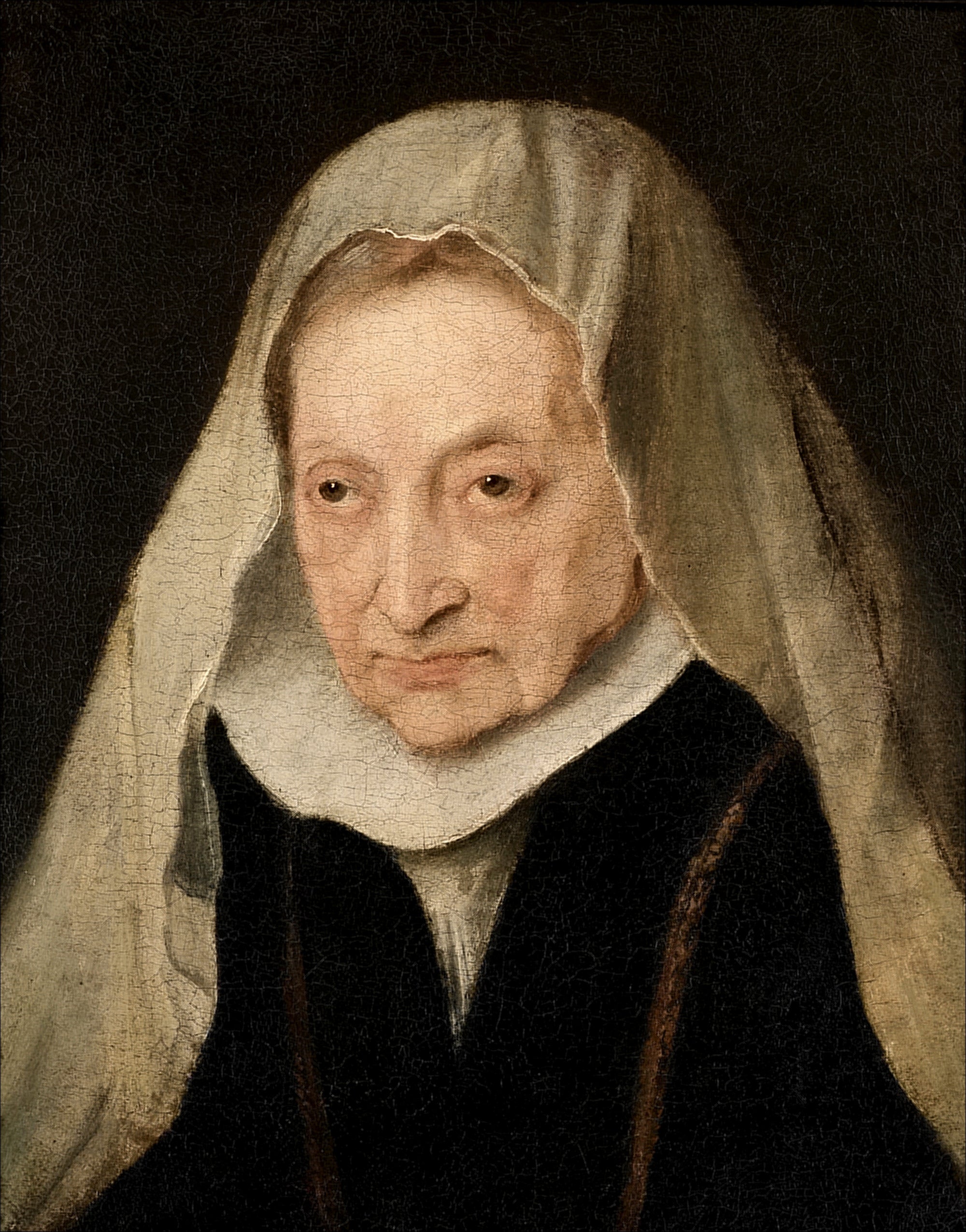 Sofonisba Anguissola - Antoine van Dyck