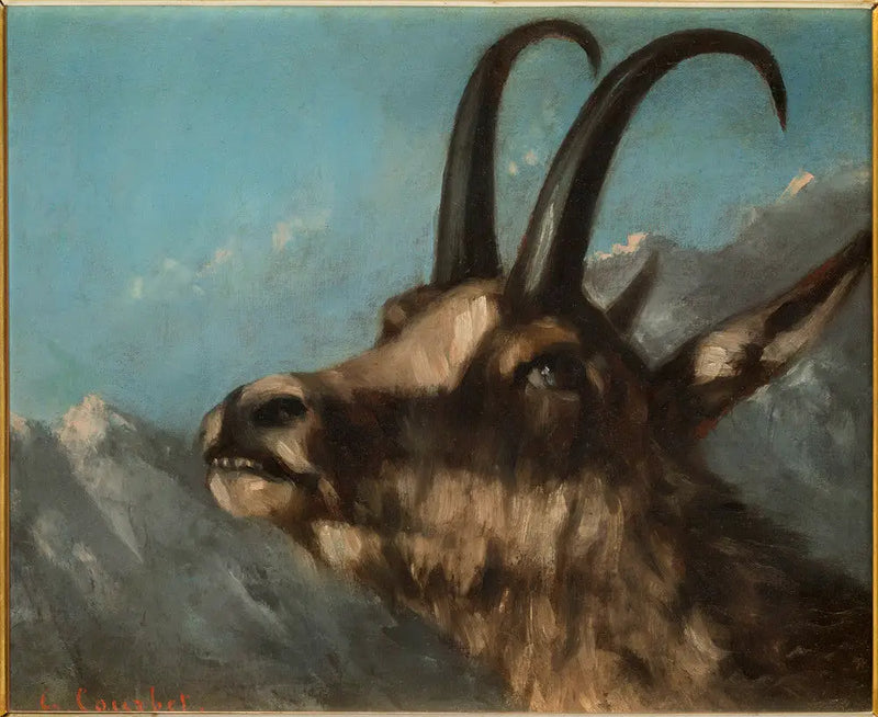 Cabeça de cabra-montesa - Gustave Courbet