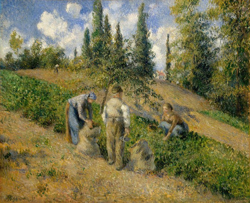 A Colheita, Pontoise - Camille Pissarro